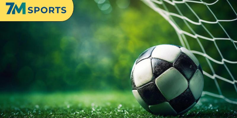 Quan sát lối chơi từng đội để thắng lớn